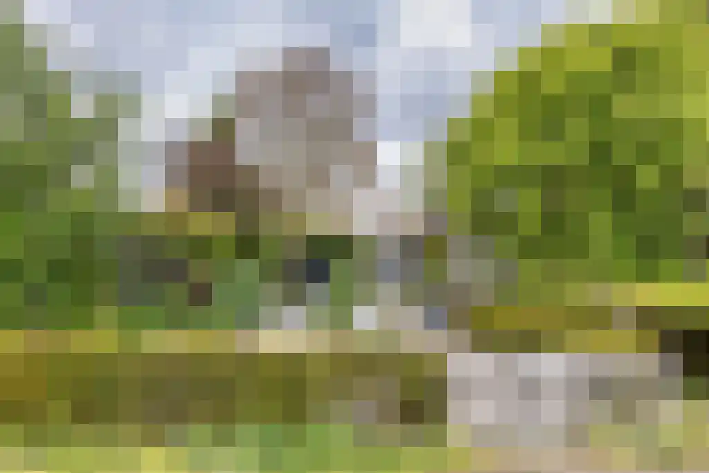 Zeskanter 16 Sneek thumbnail 50