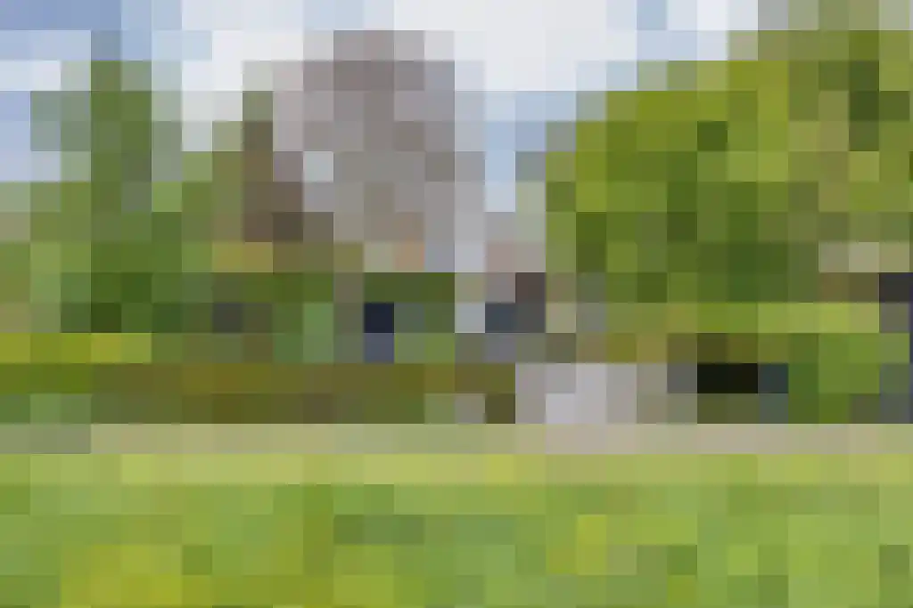 Zeskanter 16 Sneek thumbnail 54