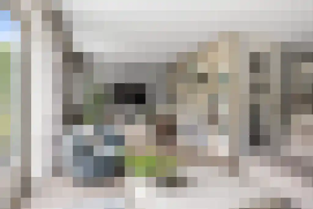 Zeskanter 16 Sneek thumbnail 8