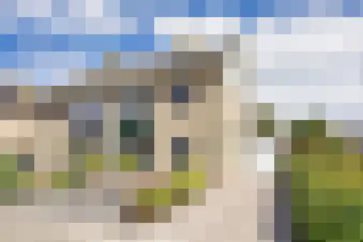 Zeskanter 5 Sneek