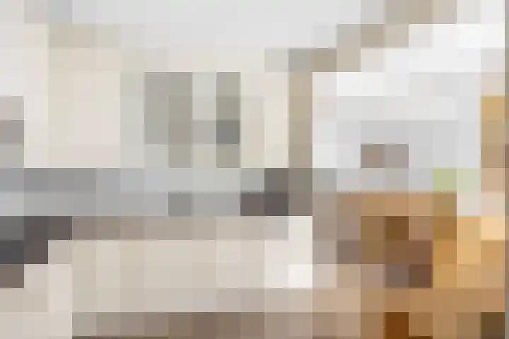 Zeskanter 5 Sneek thumbnail 11
