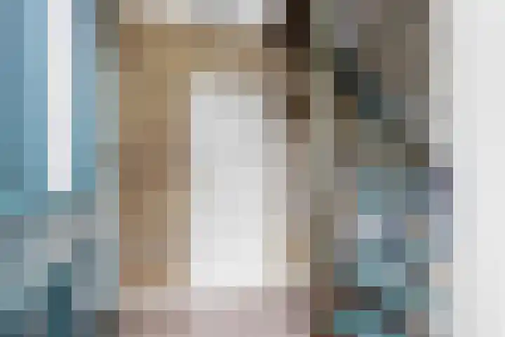 Zeskanter 5 Sneek thumbnail 17