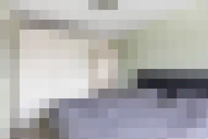 Zeskanter 5 Sneek thumbnail 24