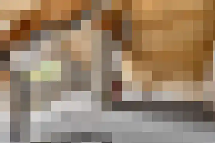 Zeskanter 5 Sneek thumbnail 30