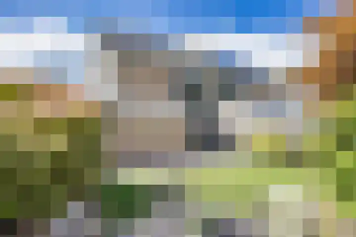 Zeskanter 5 Sneek thumbnail 31