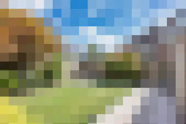 Zeskanter 5 Sneek thumbnail 33