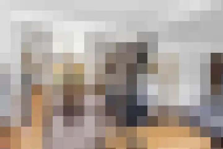 Zeskanter 5 Sneek thumbnail 6