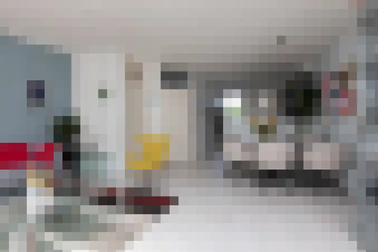 Zeskanter 64 Sneek thumbnail 10