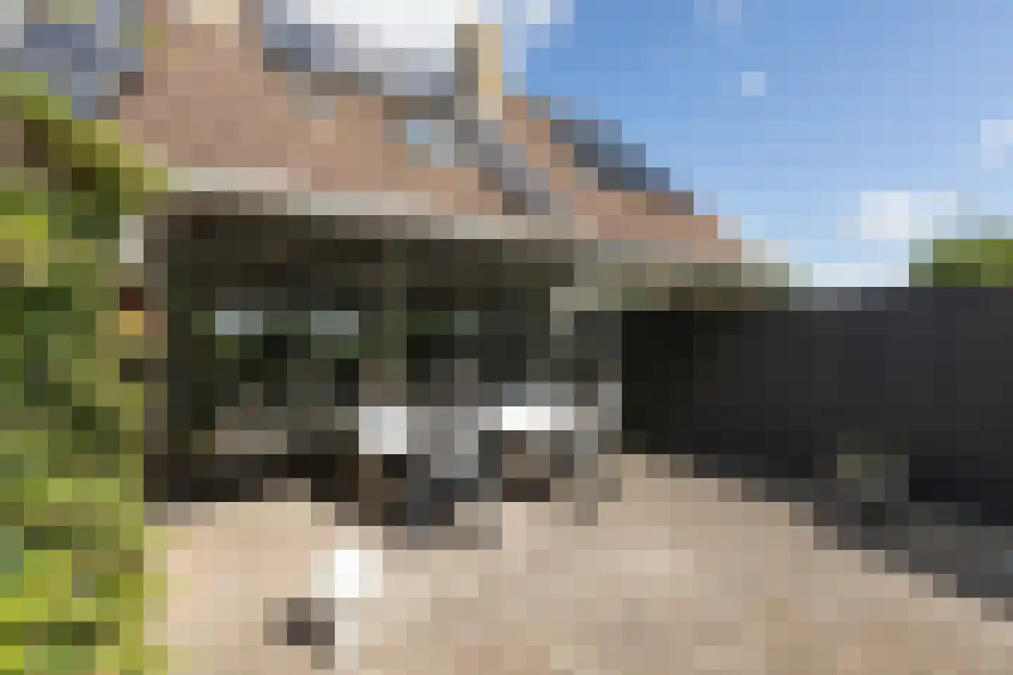 Zeskanter 64 Sneek thumbnail 33