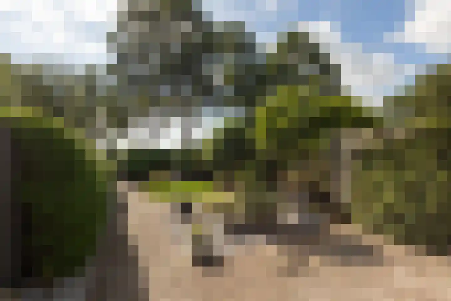 Zeskanter 64 Sneek thumbnail 34