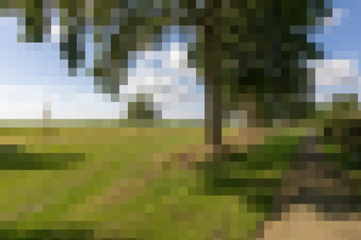 Zeskanter 64 Sneek thumbnail 38