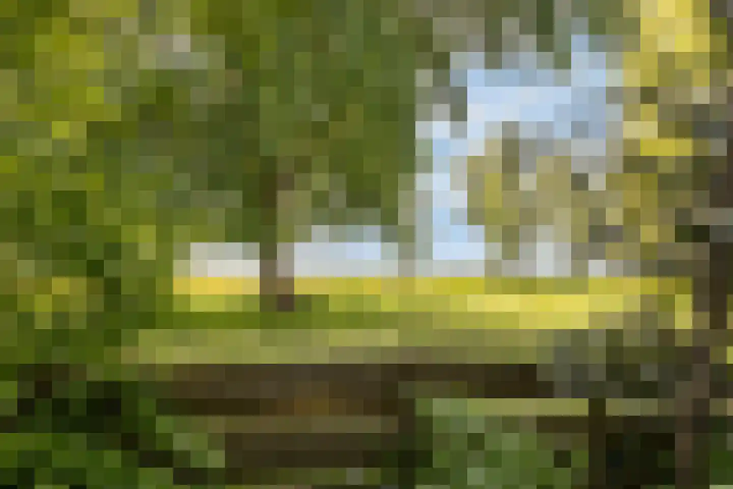 Zeskanter 72 Sneek thumbnail 15