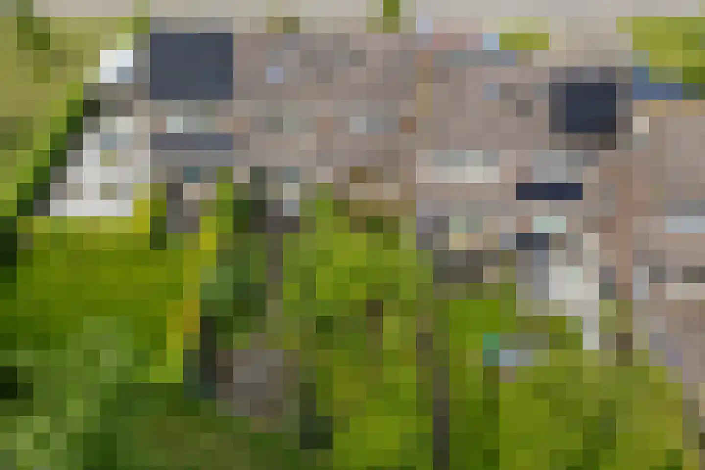 Zeskanter 72 Sneek thumbnail 32