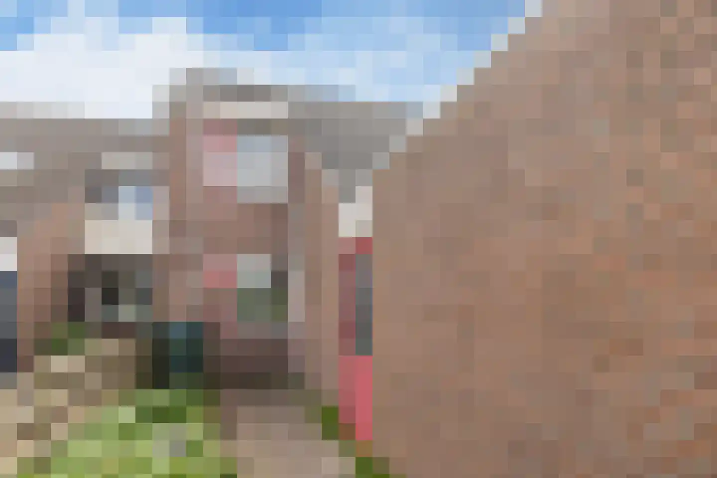 Zeskanter 72 Sneek thumbnail 4