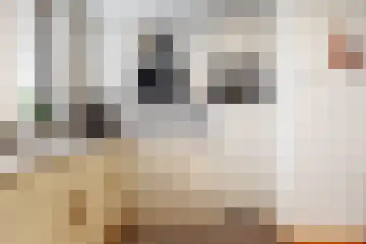 Zesmorgen 100 Heteren thumbnail 13
