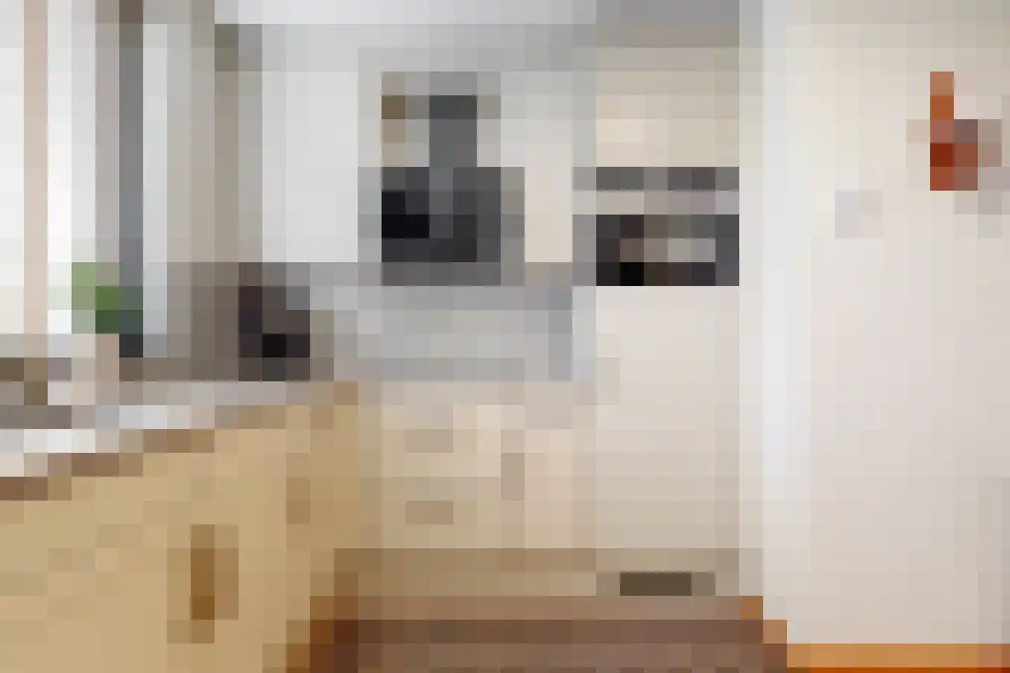 Zesmorgen 100 Heteren thumbnail 13