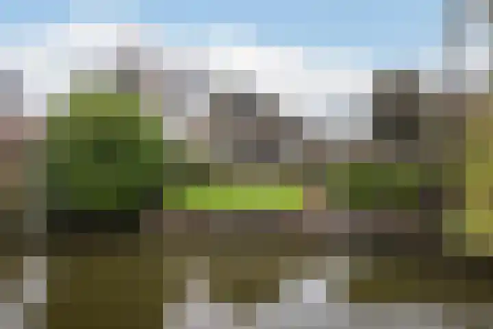 Zesmorgen 100 Heteren thumbnail 17