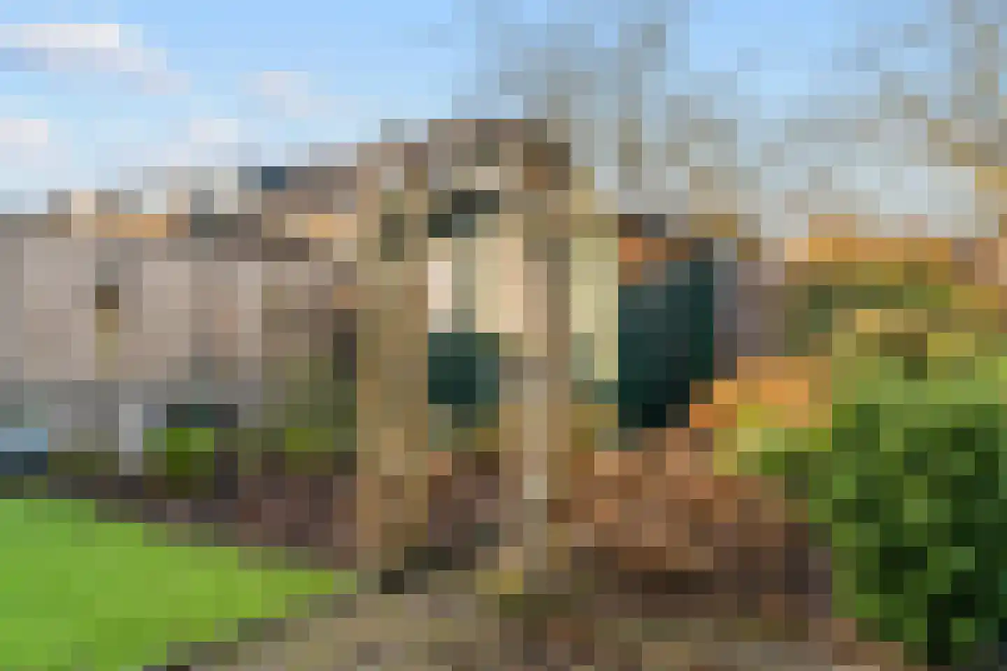 Zesmorgen 100 Heteren thumbnail 31