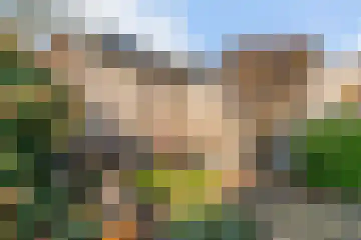 Zesmorgen 100 Heteren thumbnail 32