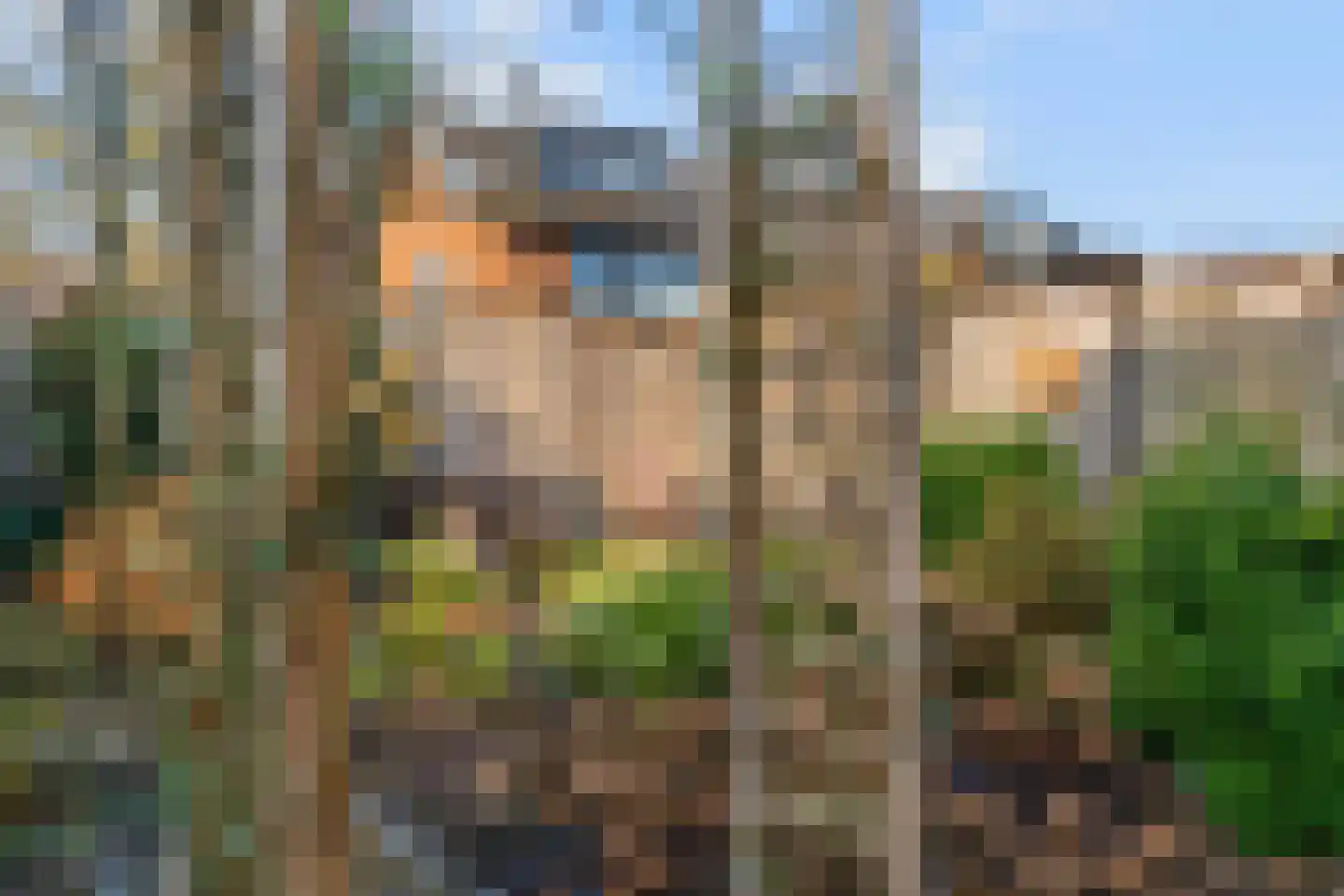 Zesmorgen 100 Heteren thumbnail 37