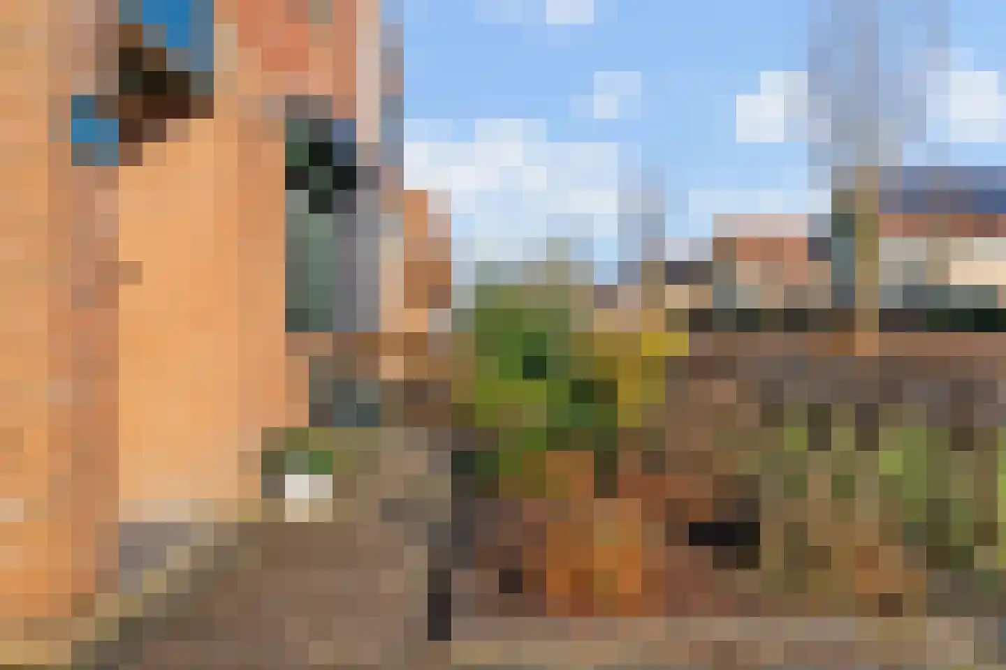 Zesmorgen 100 Heteren thumbnail 41