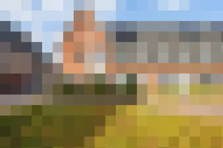 Zesmorgenstraat 26 Zevenaar thumbnail 8