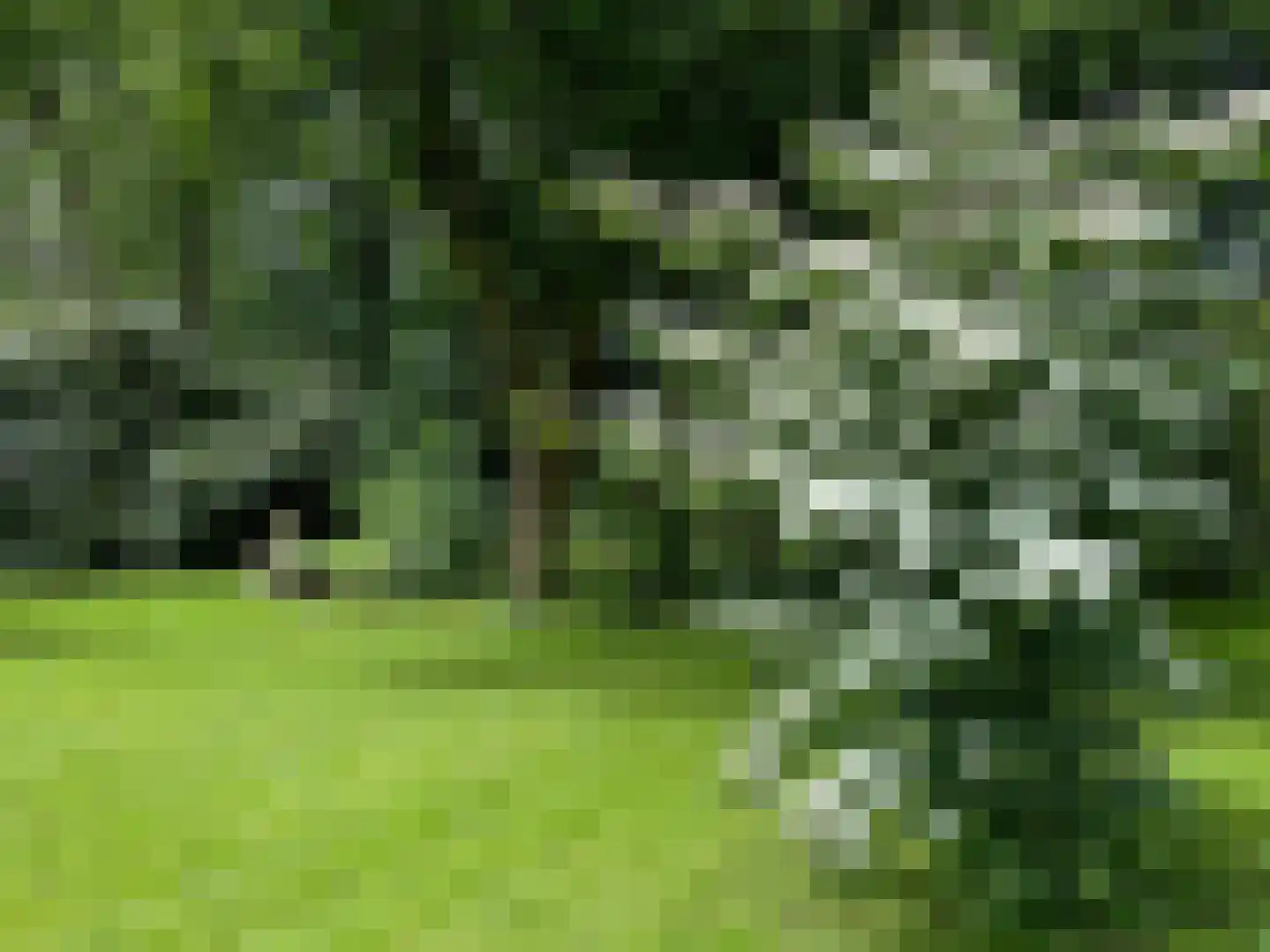 Zesstedenweg 126 a Grootebroek thumbnail 27
