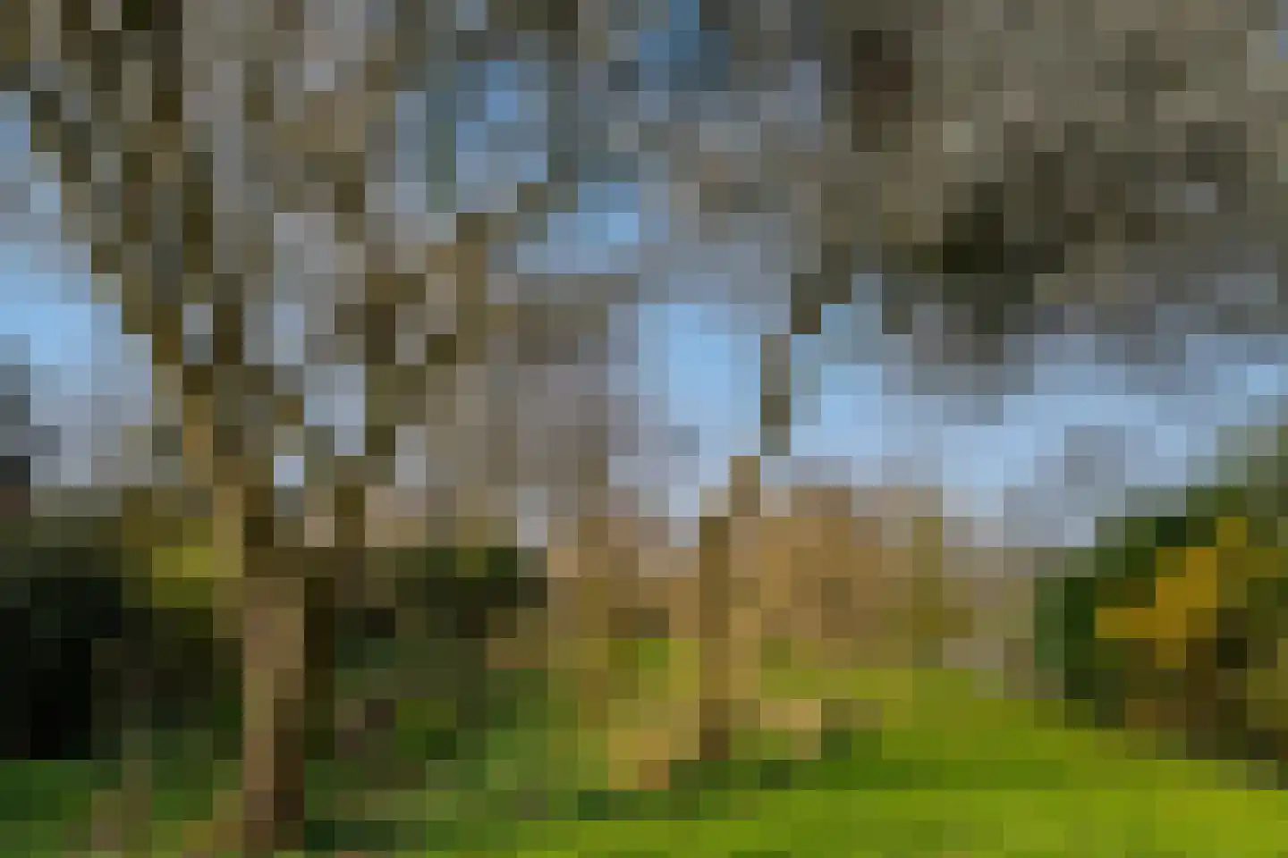 Zesstedenweg 126 a Grootebroek thumbnail 42