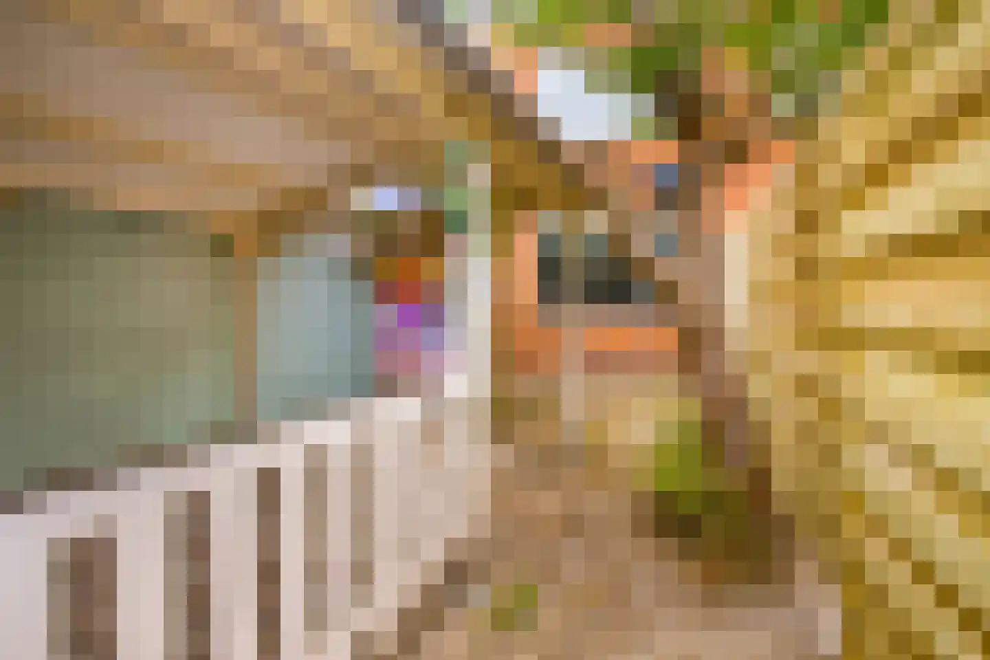 Zesstedenweg 157 Grootebroek thumbnail 21