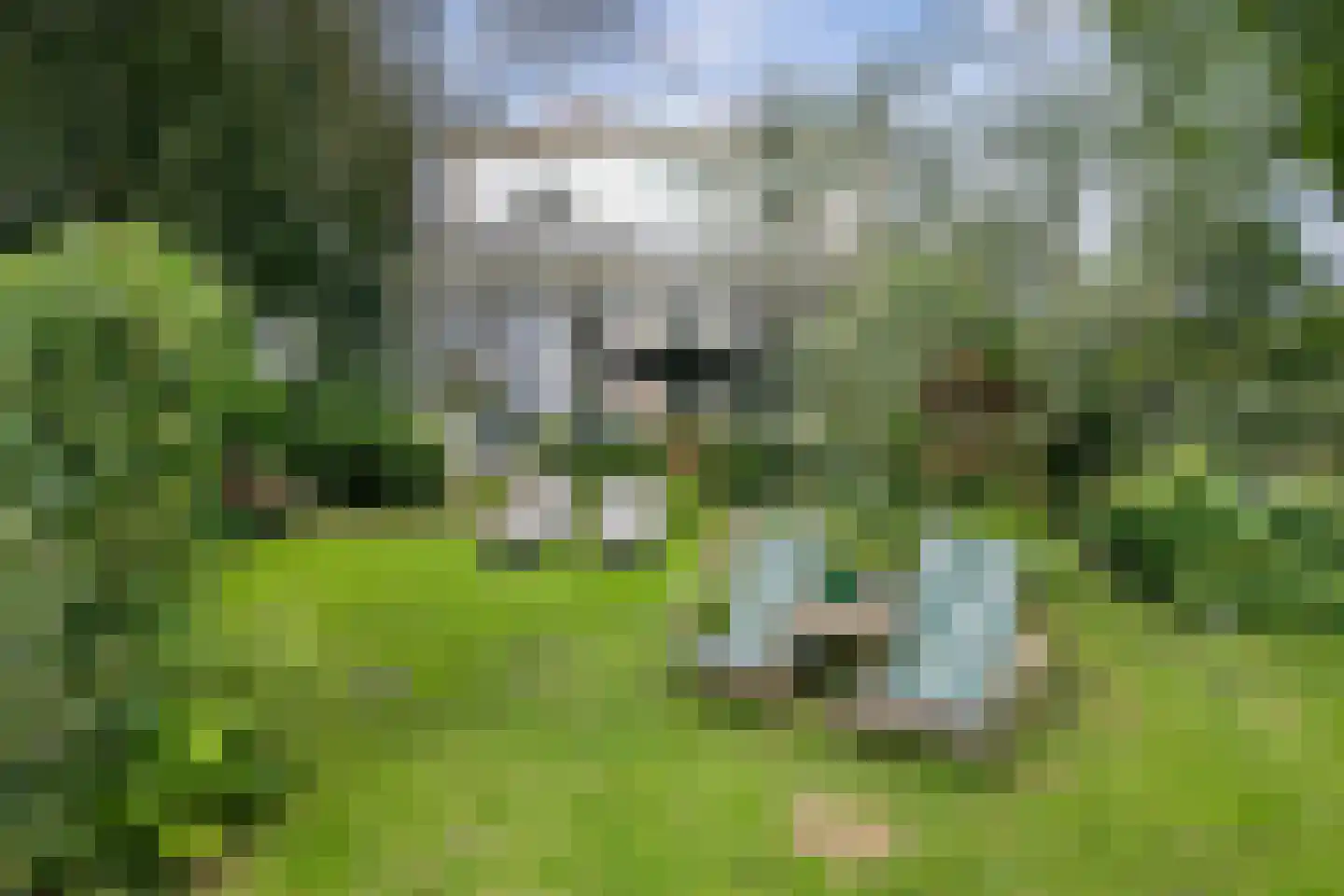 Zesstedenweg 187 Grootebroek thumbnail 24