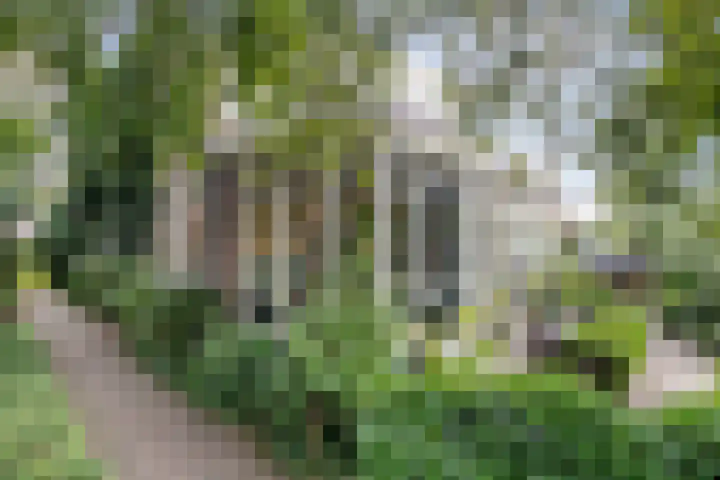 Zesstedenweg 187 Grootebroek thumbnail 25