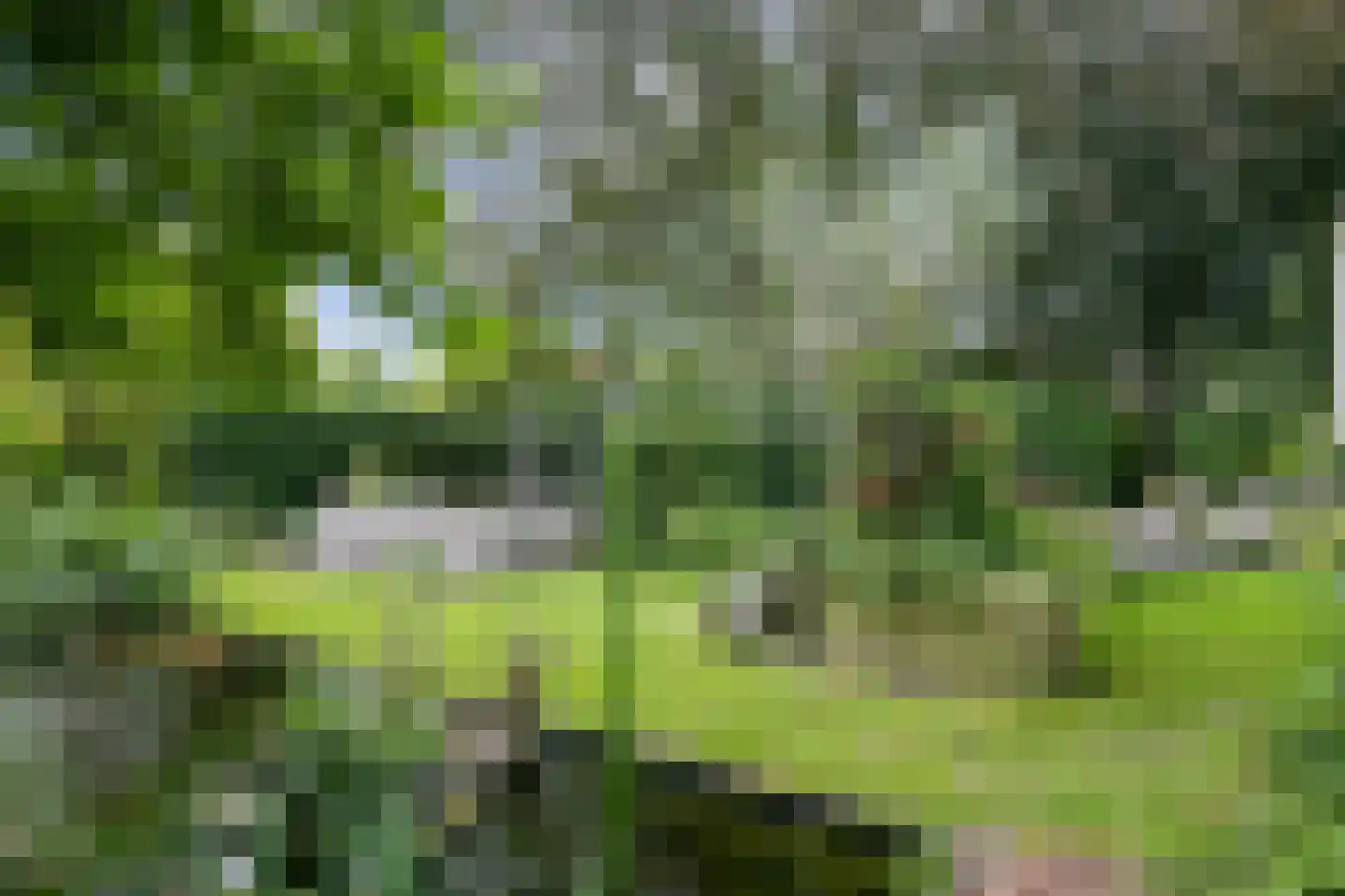 Zesstedenweg 187 Grootebroek thumbnail 39