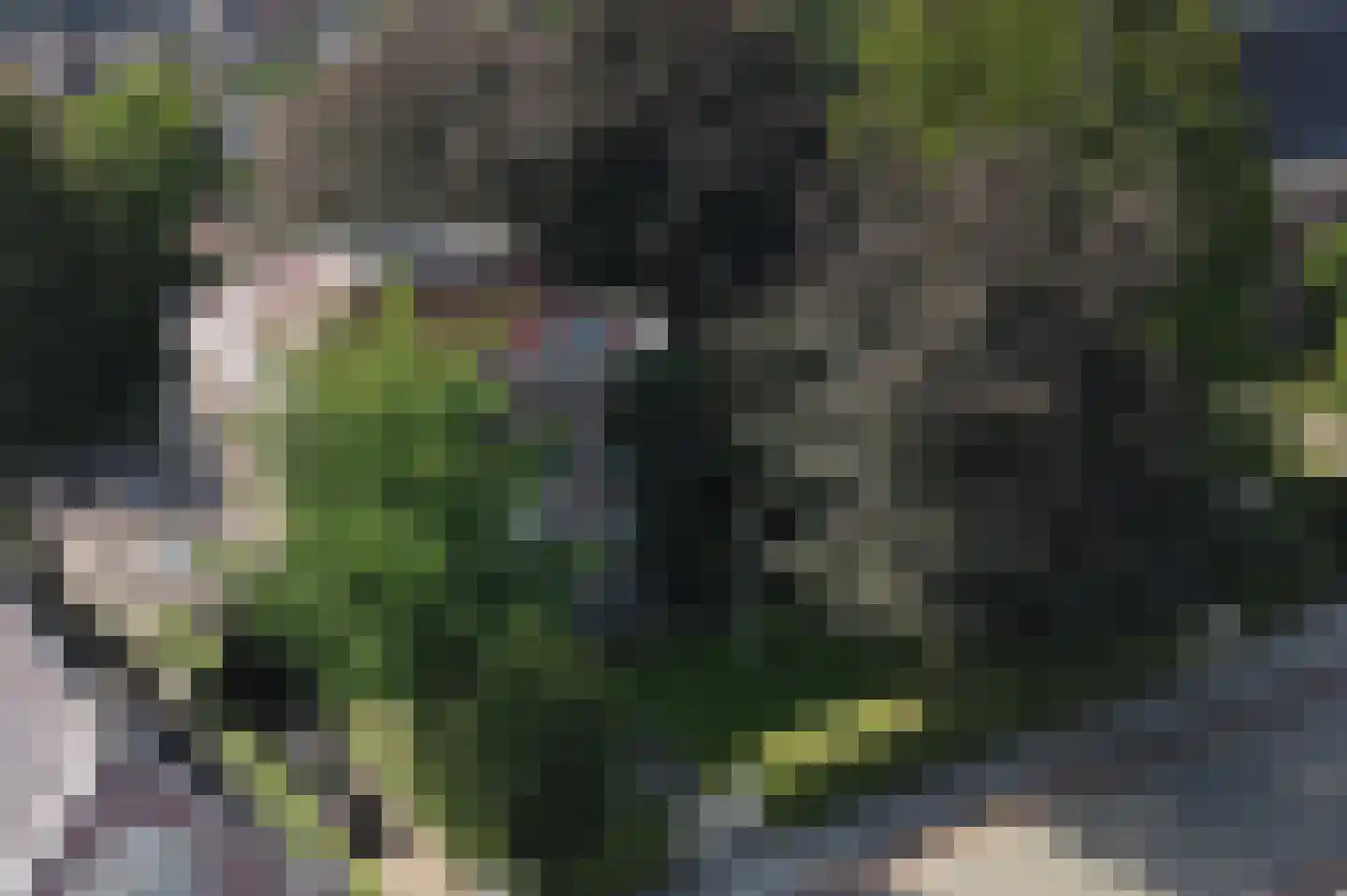 Zesstedenweg 187 Grootebroek thumbnail 4
