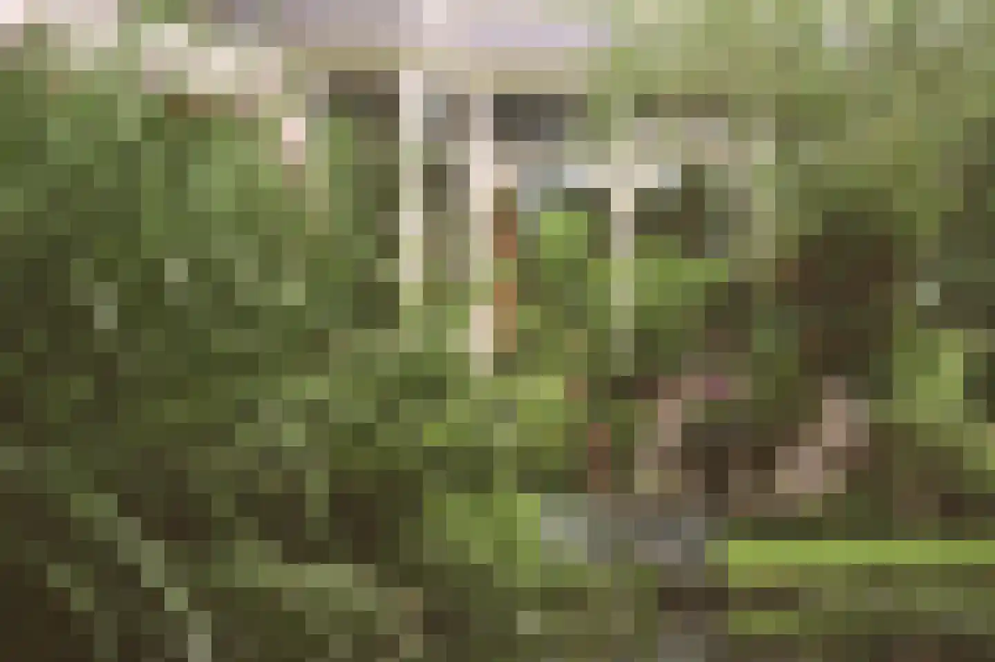 Zesstedenweg 187 Grootebroek thumbnail 44