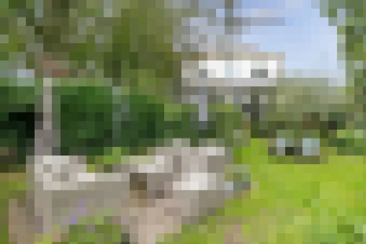 Zesstedenweg 187 Grootebroek thumbnail 49