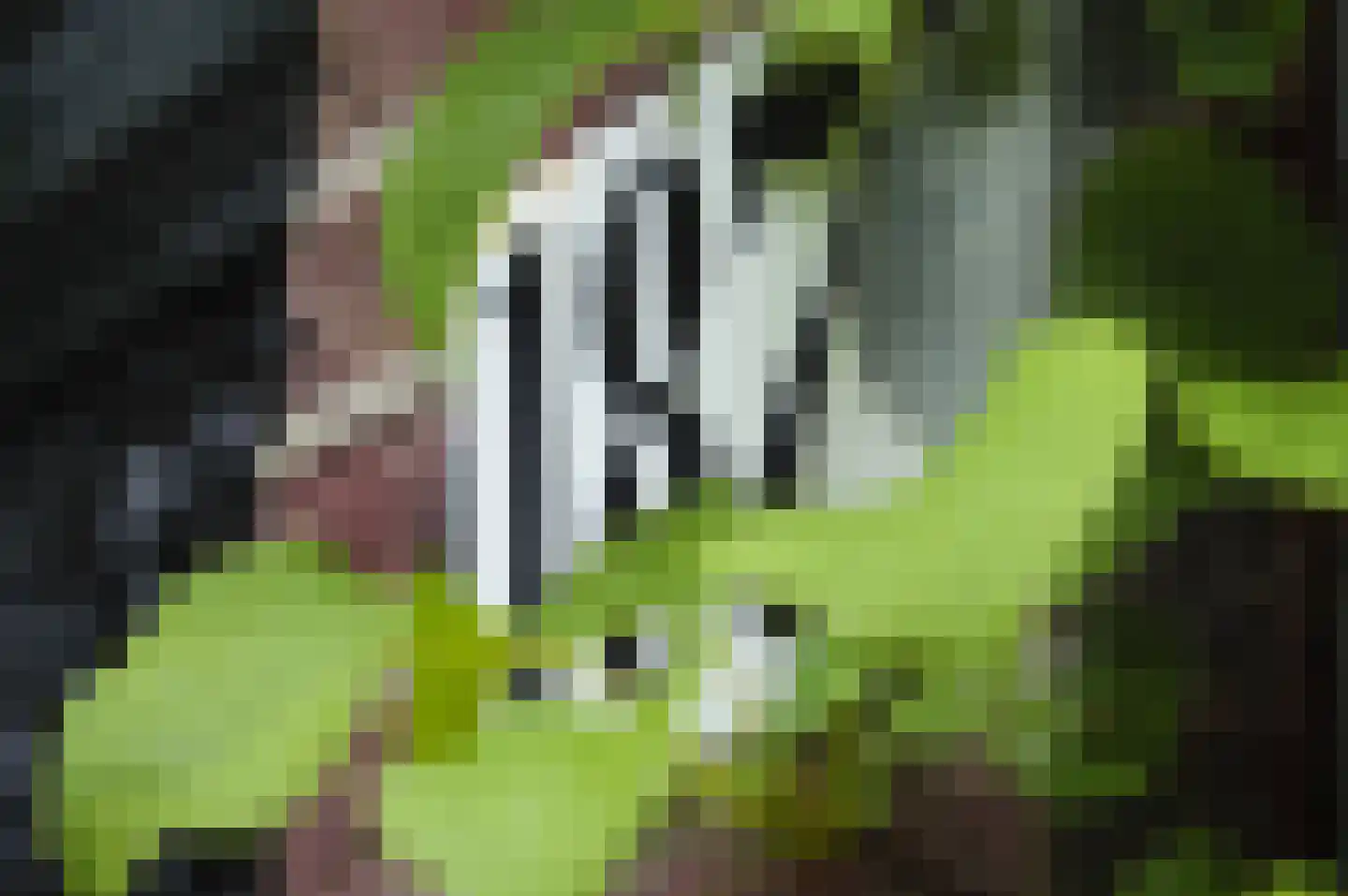 Zesstedenweg 187 Grootebroek thumbnail 9