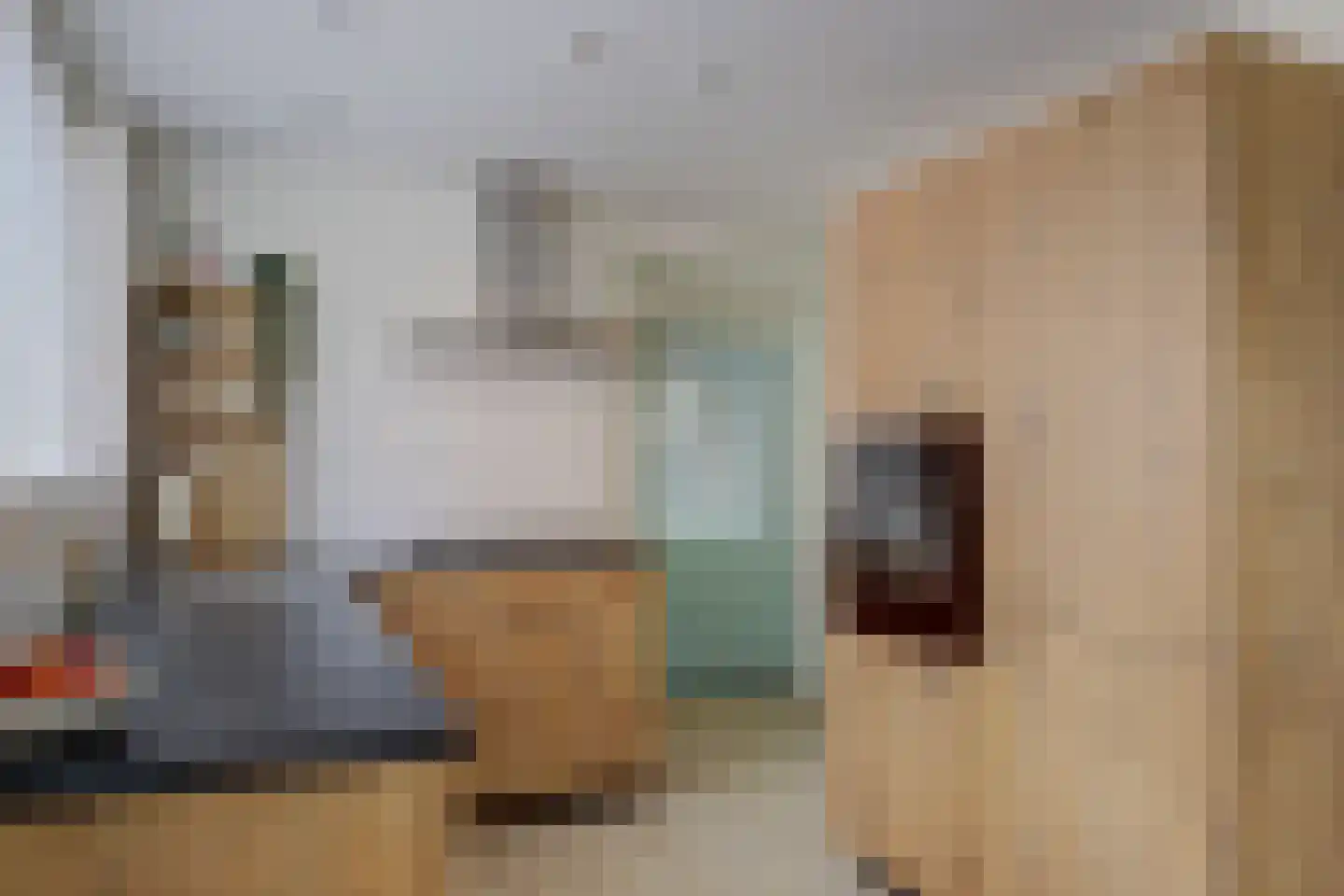 Zesstedenweg 200 Grootebroek thumbnail 13