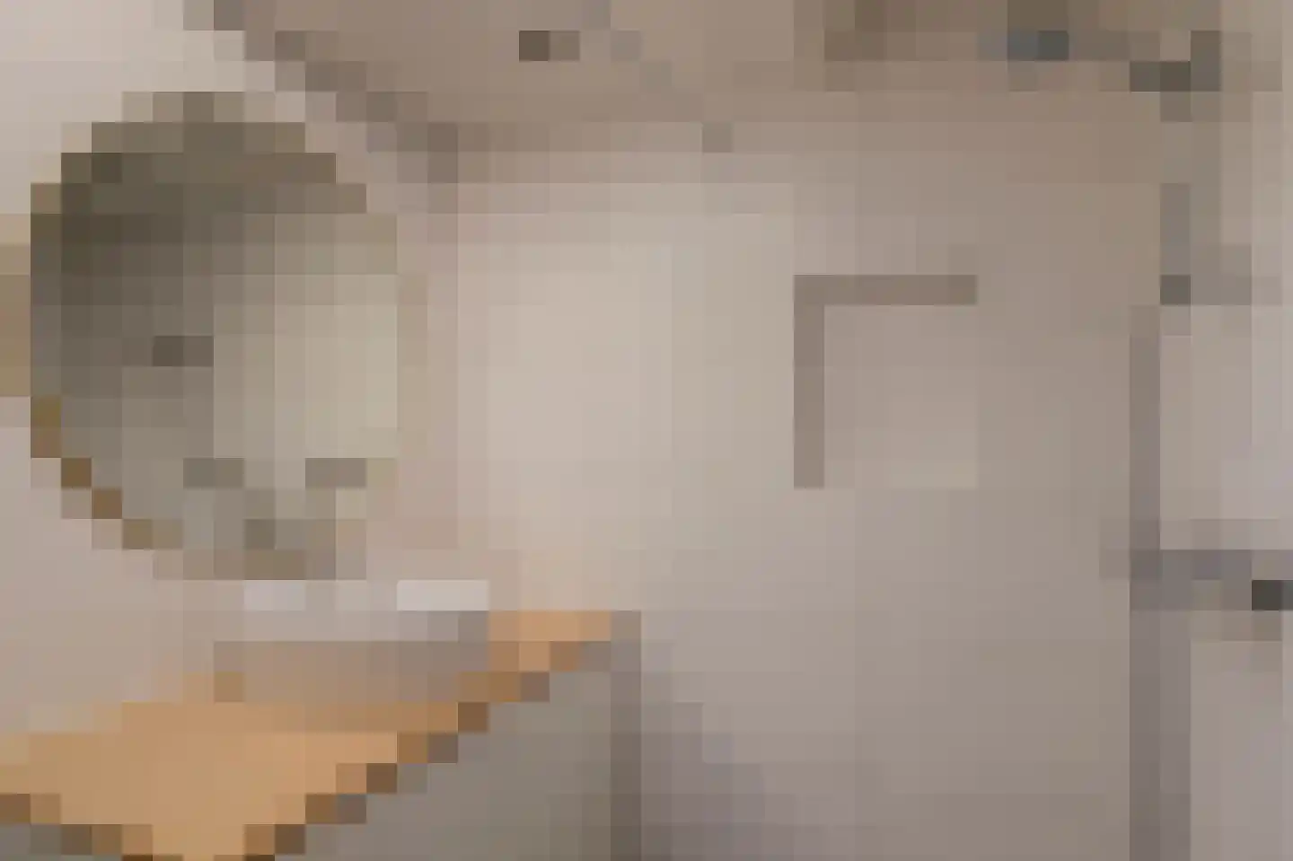 Zesstedenweg 200 Grootebroek thumbnail 18