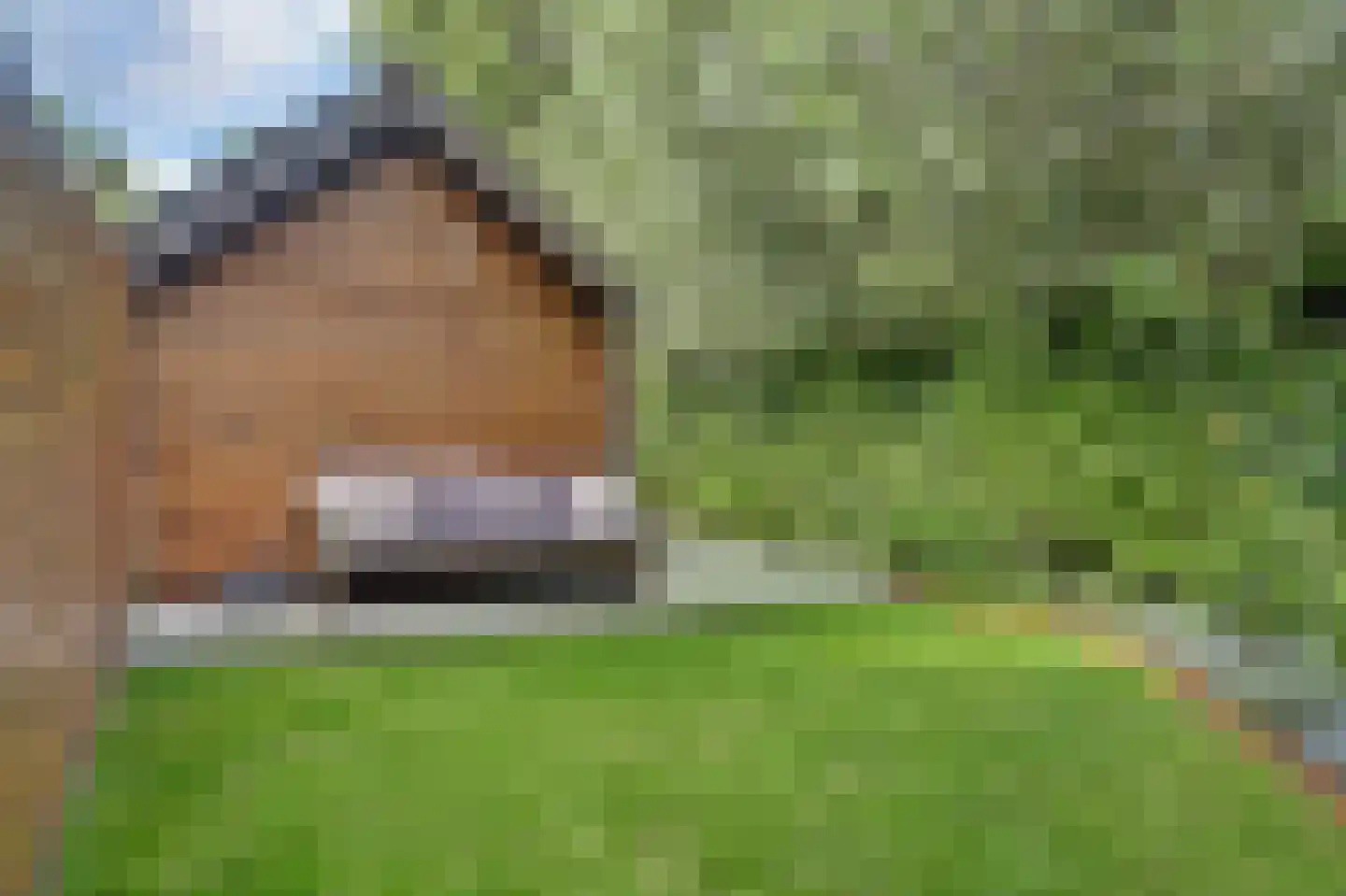 Zesstedenweg 200 Grootebroek thumbnail 30