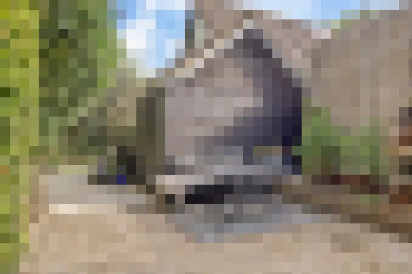 Zesstedenweg 200 Grootebroek thumbnail 31