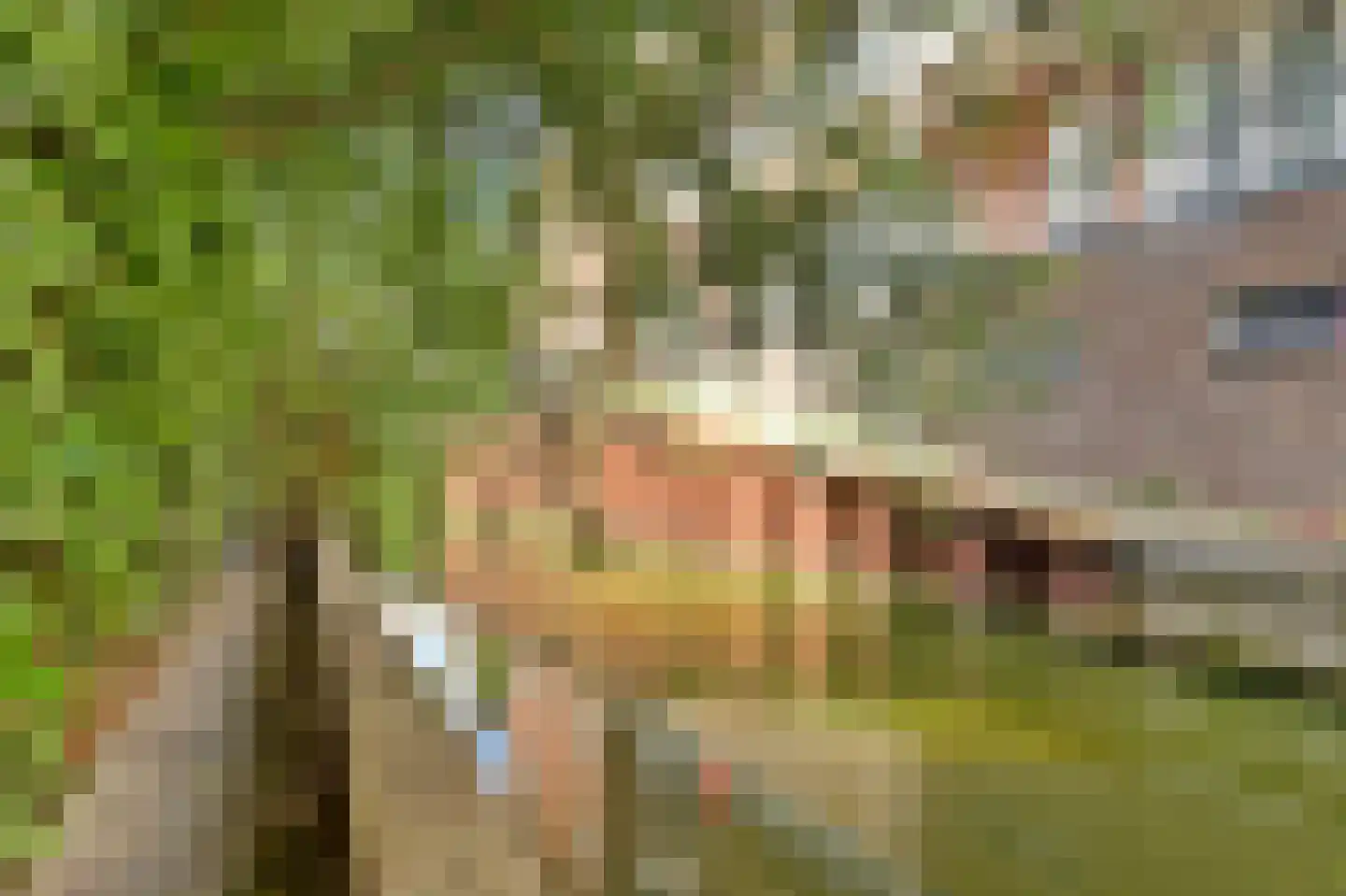 Zesstedenweg 200 Grootebroek thumbnail 33