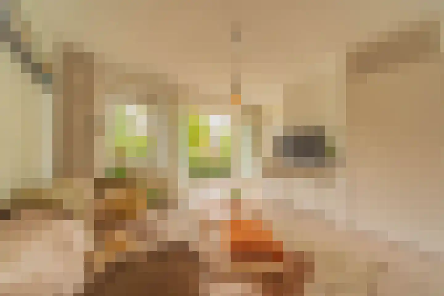 Zesstedenweg 204 l Grootebroek thumbnail 23
