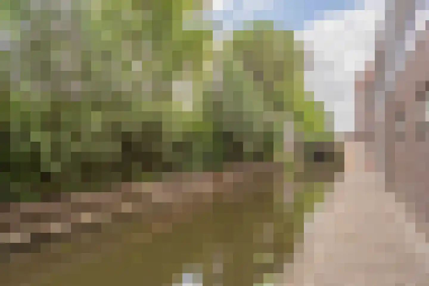 Zesstedenweg 204 l Grootebroek thumbnail 39