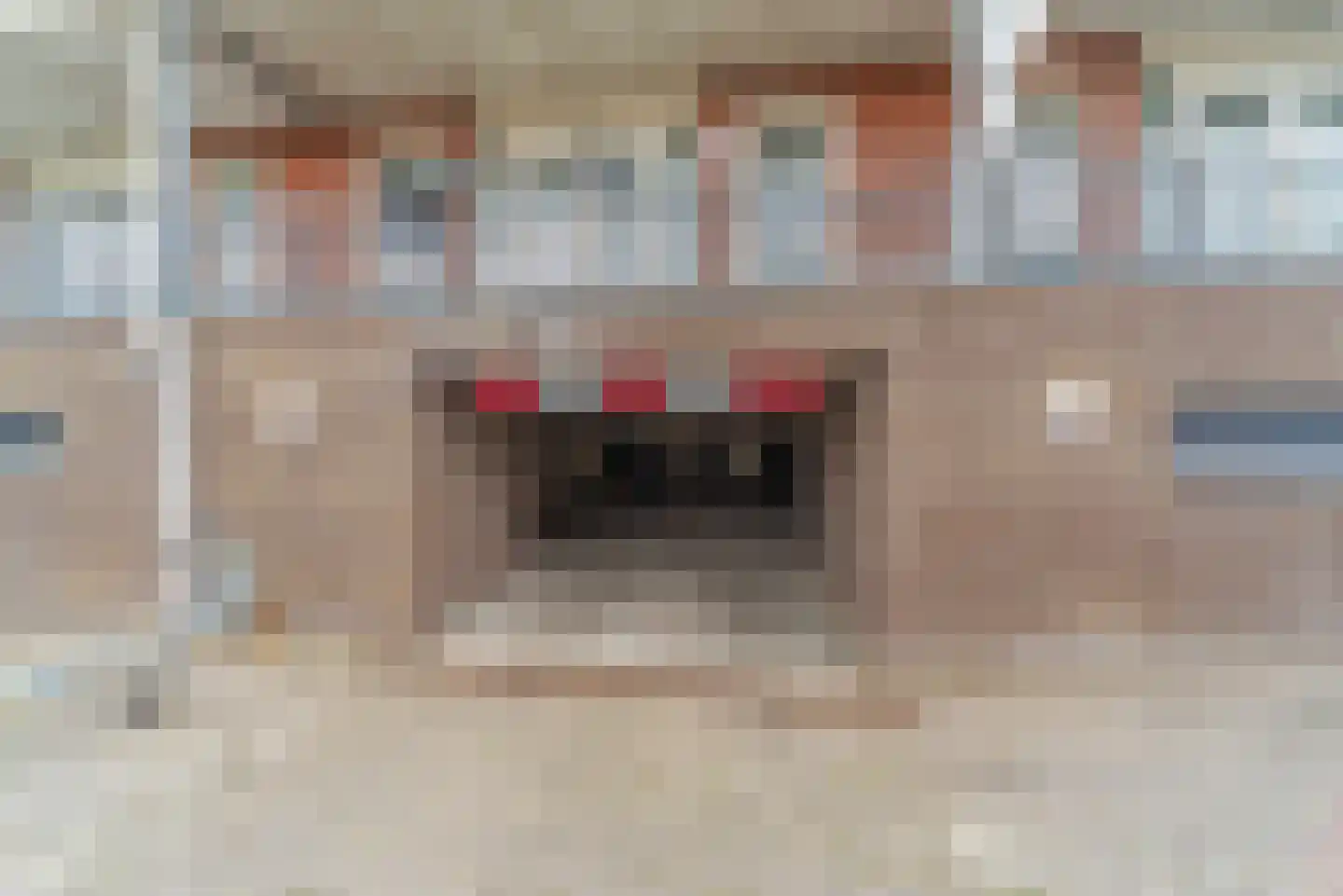 Zesstedenweg 204 l Grootebroek thumbnail 47