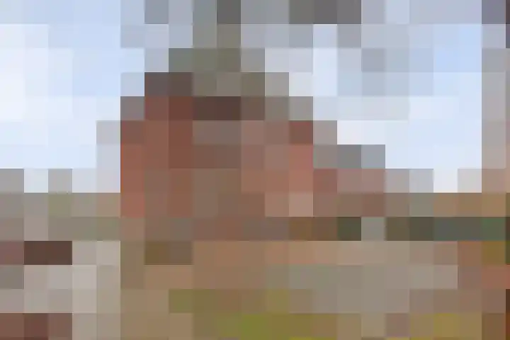 Zesstedenweg 205 k Grootebroek thumbnail 20