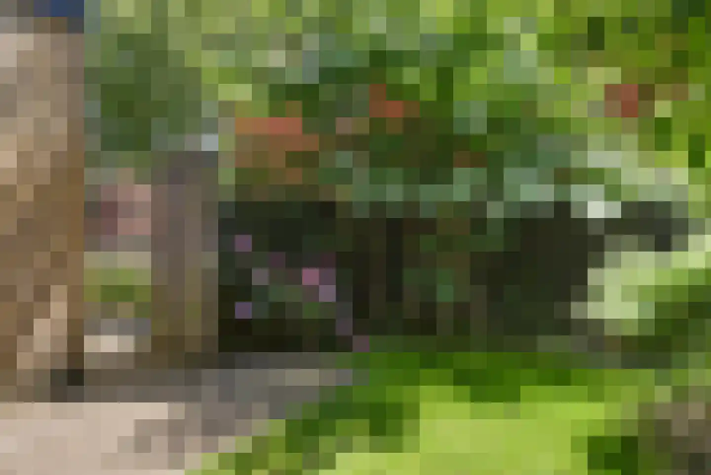 Zesstedenweg 207 Grootebroek thumbnail 21