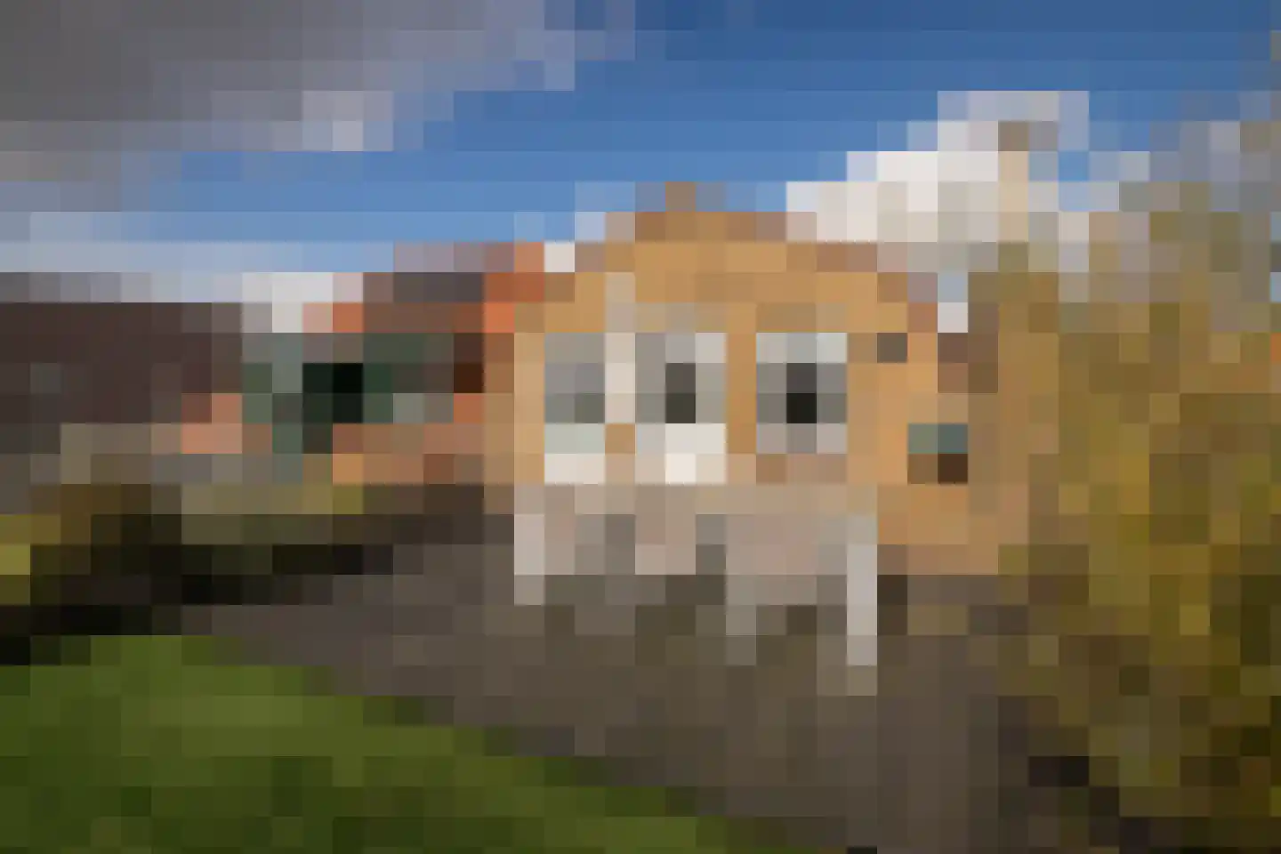 Zesstedenweg 239 Grootebroek thumbnail 32