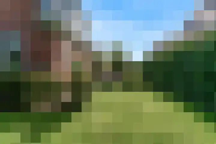 Zesstedenweg 284 a Grootebroek thumbnail 47
