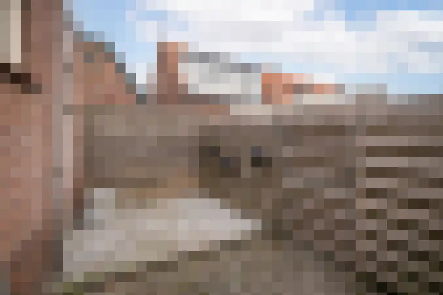 Zesstedenweg 318 Grootebroek thumbnail 32