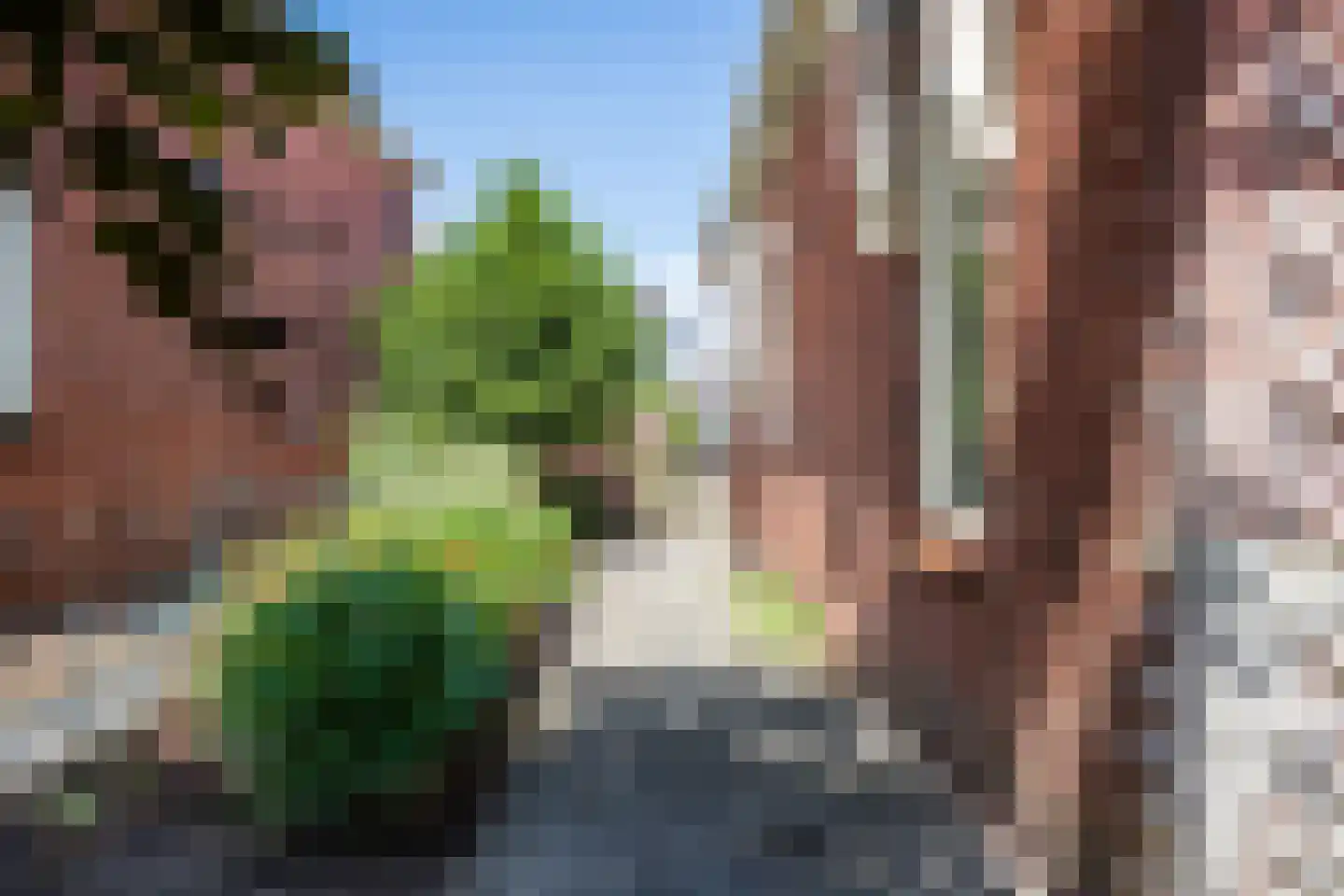 Zesstedenweg 324 Grootebroek thumbnail 9